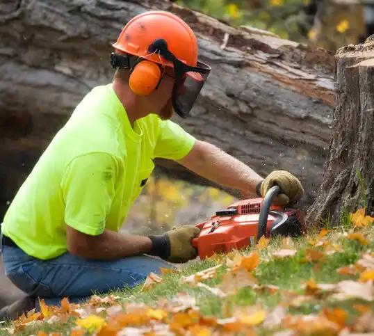 tree services Friendly